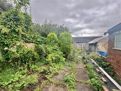 Picture 19